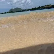 しゅーた