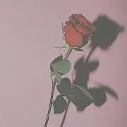 まりの画像