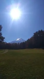 しろさんの画像