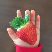 いちごの画像