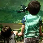 ゅち
