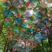ラムレーズン８の画像