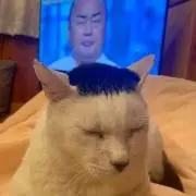 かずっこの画像