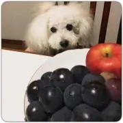 おくめり