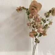 kuiyulの画像