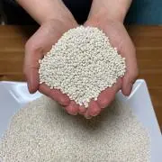 yanagiの画像