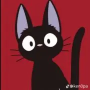 はる＊◎おまとめ割あり◎＊の画像