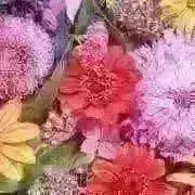 S◎プロフ必読✨の画像