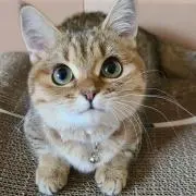 みの画像