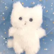 塩味にゃの画像