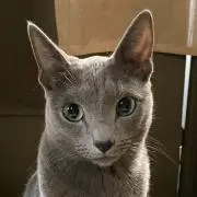 えるびっしゅの画像