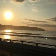 たけの画像