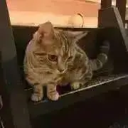 うめめ（プロフ見てね！）の画像