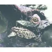 オオナズチ