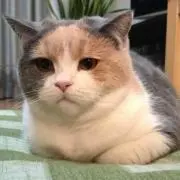 さよ
