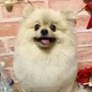 ☆まこさ☆の画像