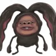 ハクシャクキドリの画像