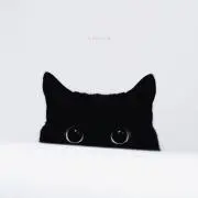 はなんちゅの画像