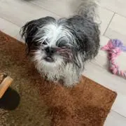 ヒデまたの画像