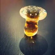 きのこの画像
