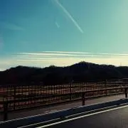 Image of チビ汰