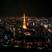 ★パルの画像