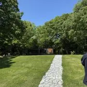 noagyの画像