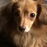 おーちゃん