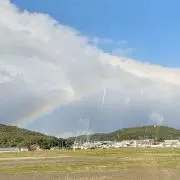 memeの画像