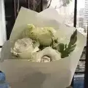 ❤︎