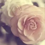momo︎︎︎ ☺︎⑅*♥週末SALE中の画像