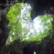 Kiyonoの画像