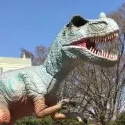 gaojingの画像