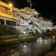 ミクロセル