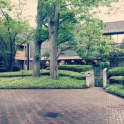 Maruの画像