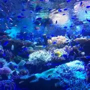 mkiakiari.hの画像