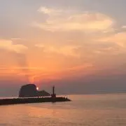 みゆ