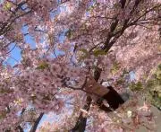 ママの画像