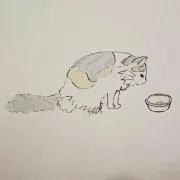 mia k teaの画像
