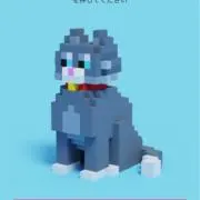 saaの画像