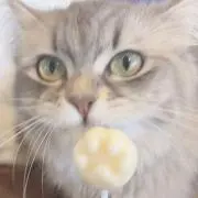 りりの画像