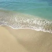 alohaとこなっつの画像