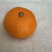 みかんさんの画像