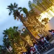 ぴょねす