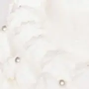 fuの画像