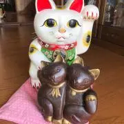 ヨッチーの画像