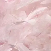 KOの画像