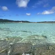 emの画像