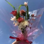 HANAの画像