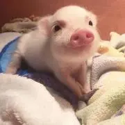 さっちん